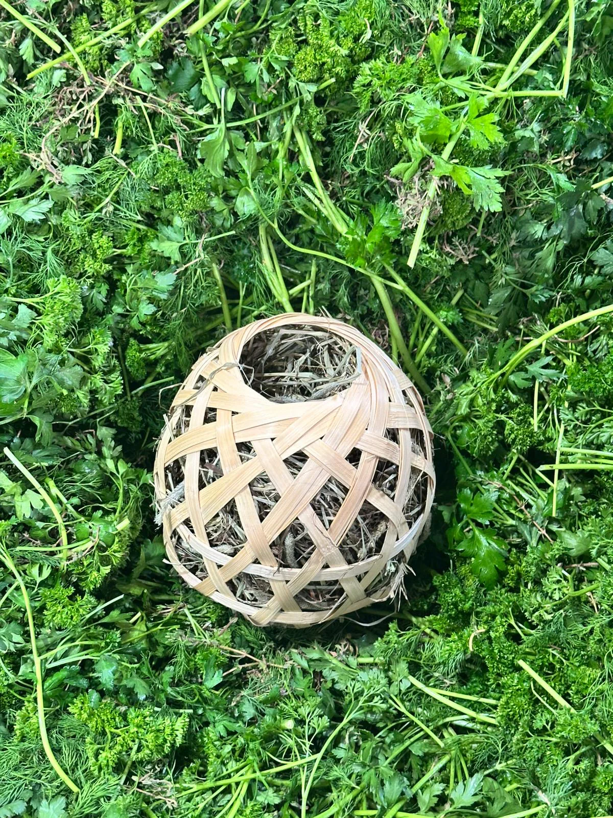 Bambusball mit Heu - Image 2