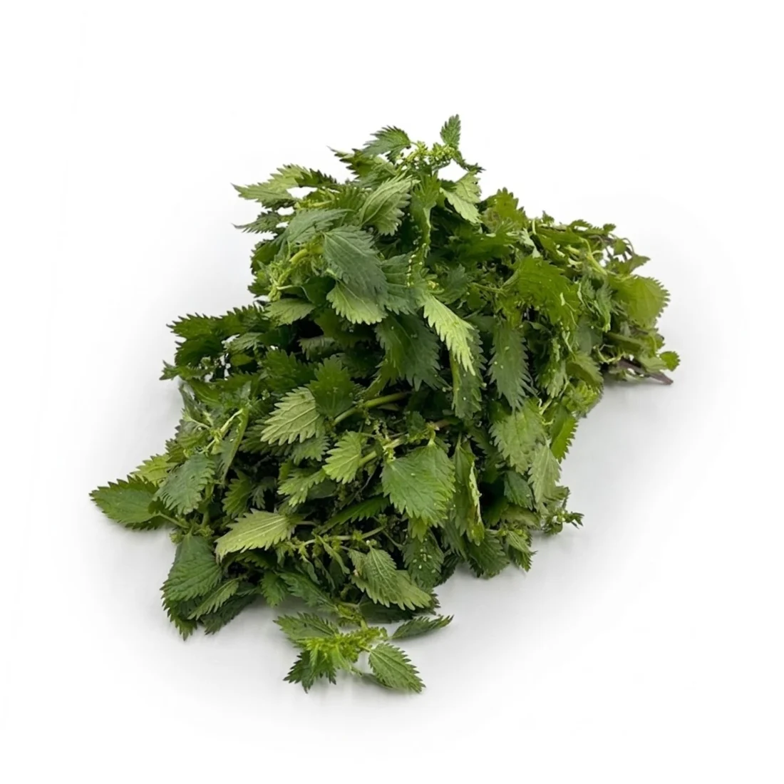 Brennnessel, 500 g
