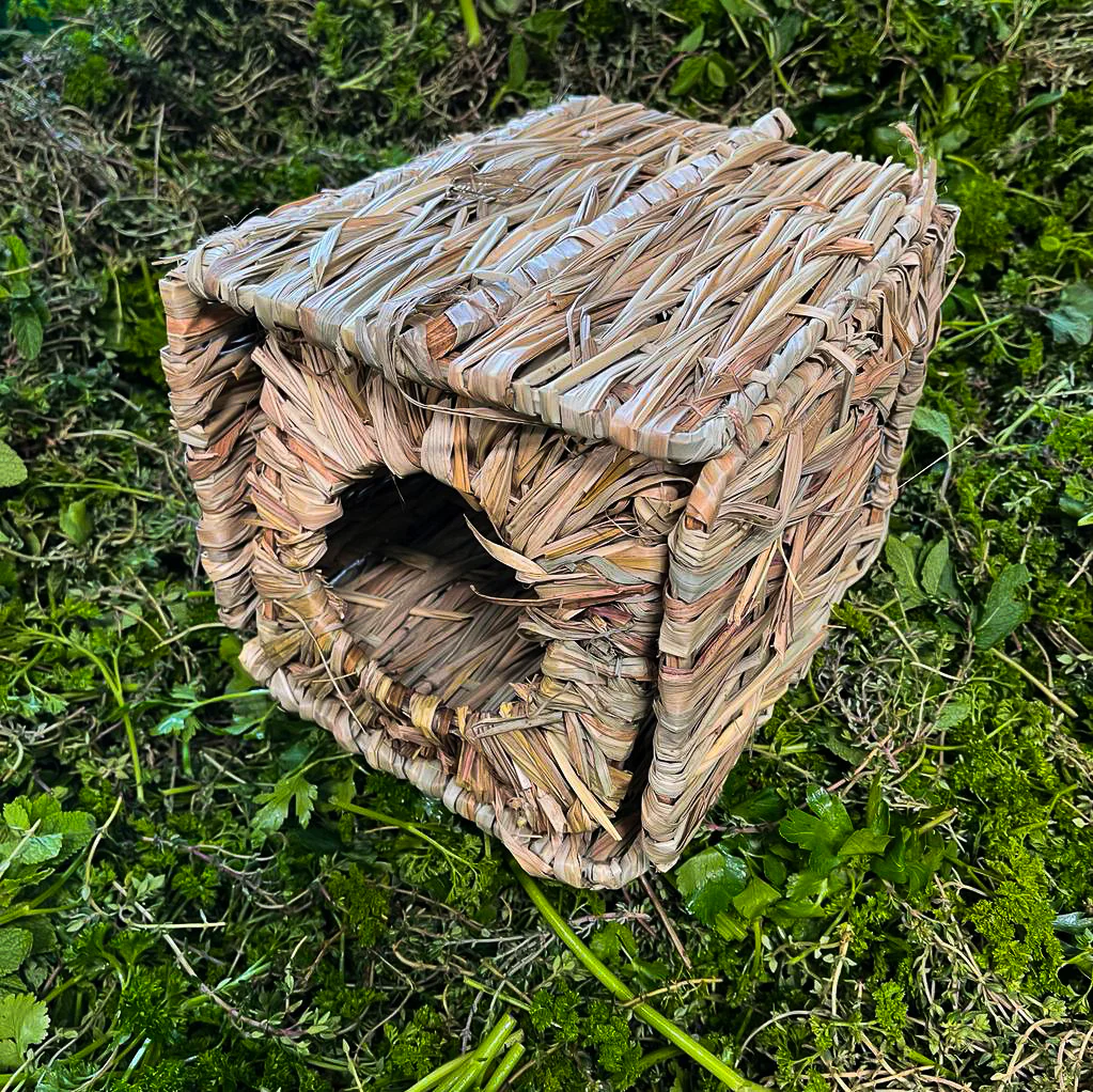 Gras-Haus mit 2 Eingängen - Image 2