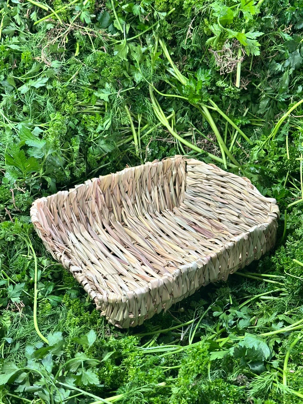 Vorschaubild 1