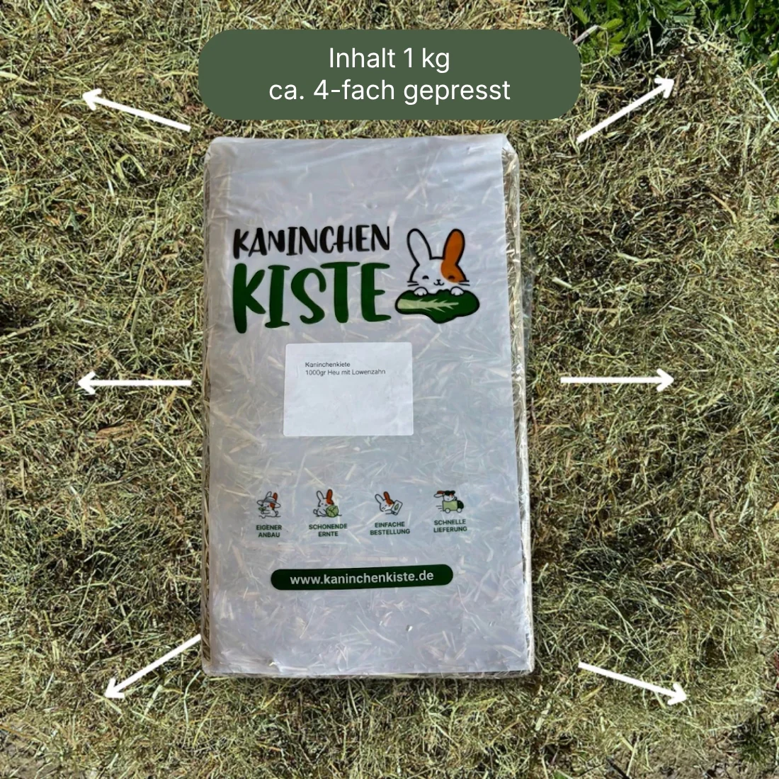 Heu mit Löwenzahn, 1 kg - Image 2