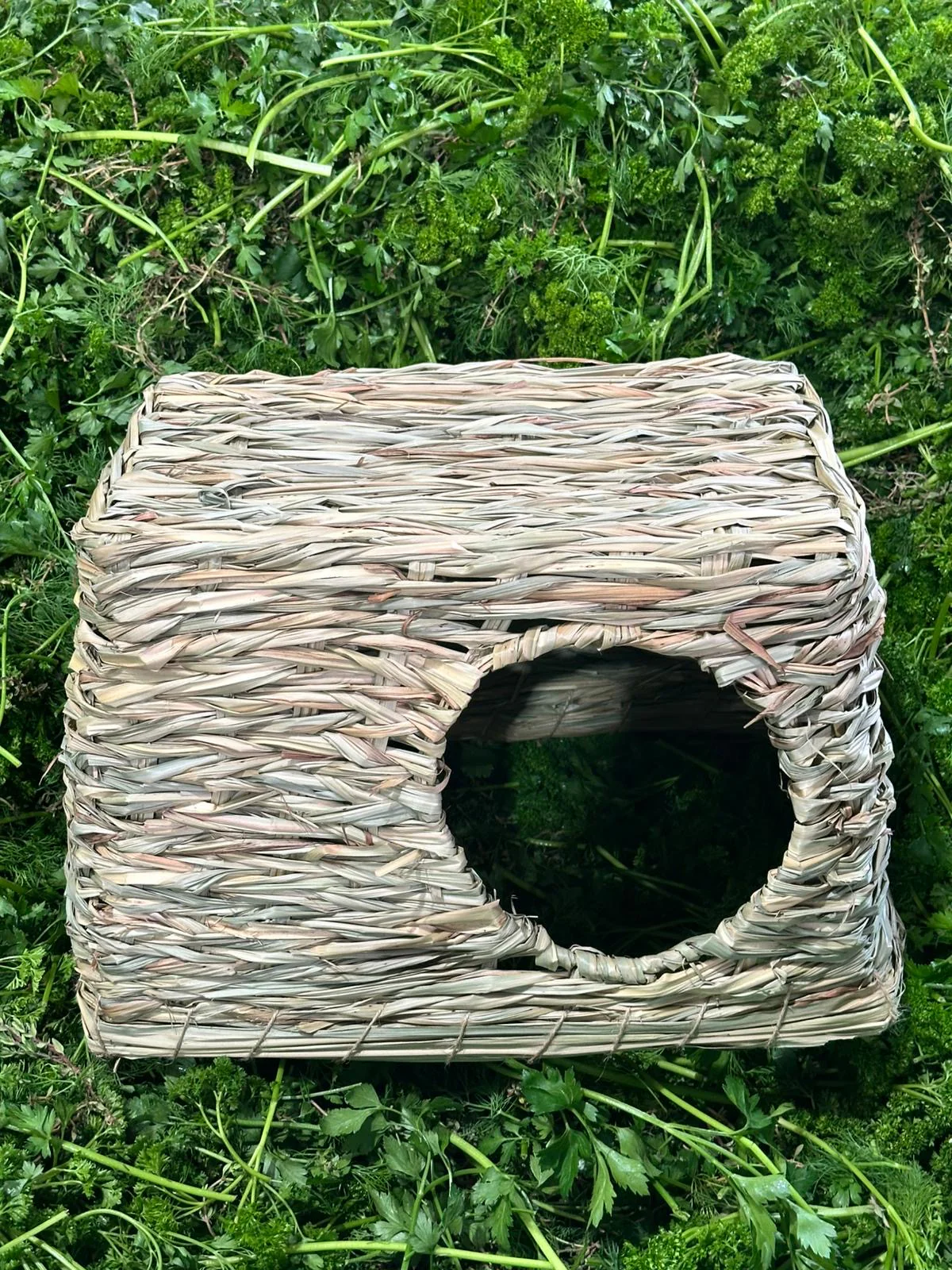 XL Gras-Haus mit 2 Eingängen - Image 2