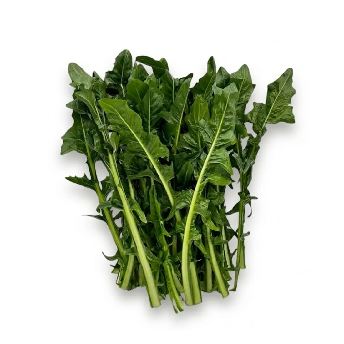 Salat