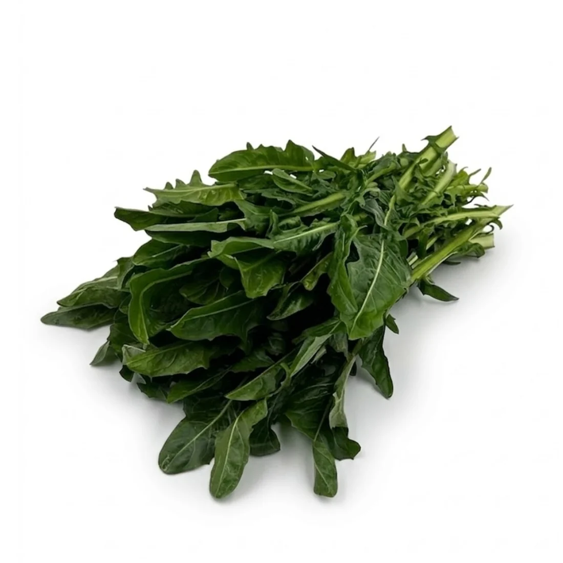 Spitzen vom Löwenzahnsalat (Catalogna ohne Strunk), 500gr - Image 2