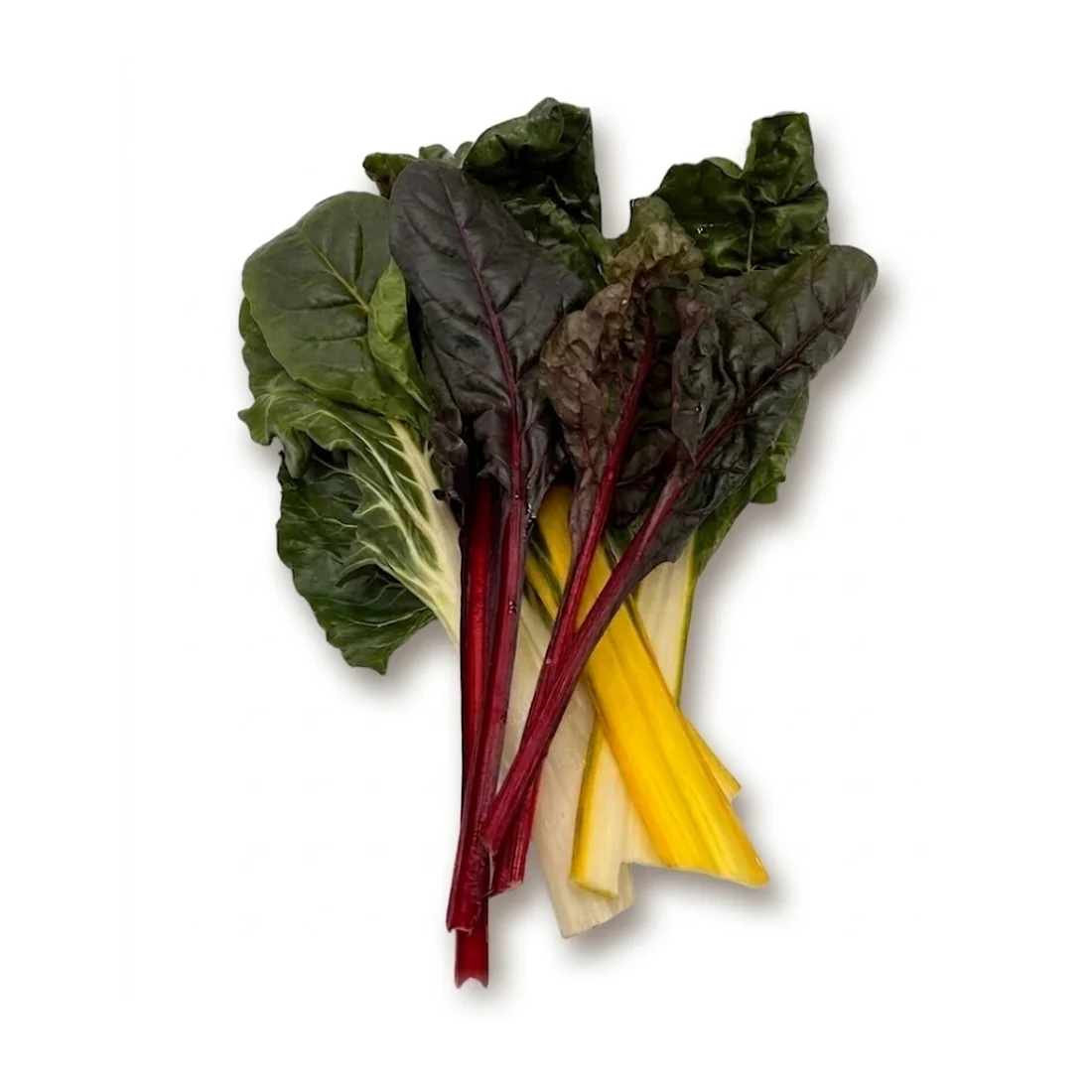 Mangold, bunt (500gr)
