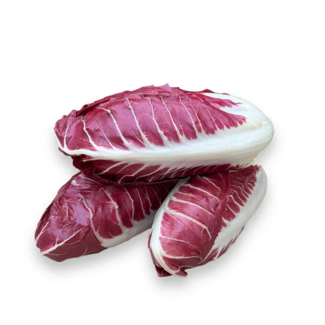 Radicchio Trevisano - Image 2