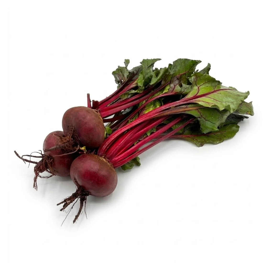 Rote Bete mit Blatt