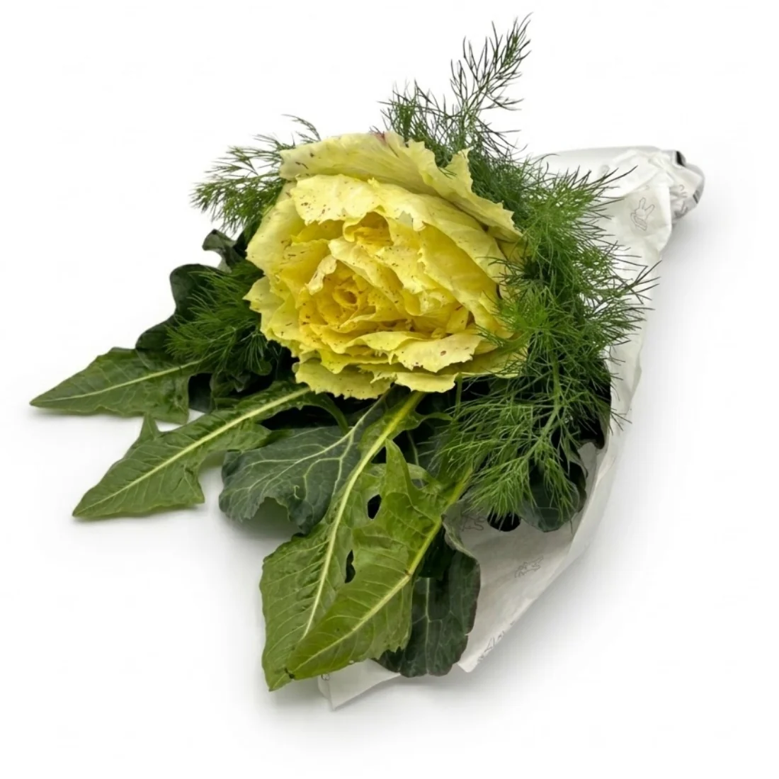 Vorschaubild 1